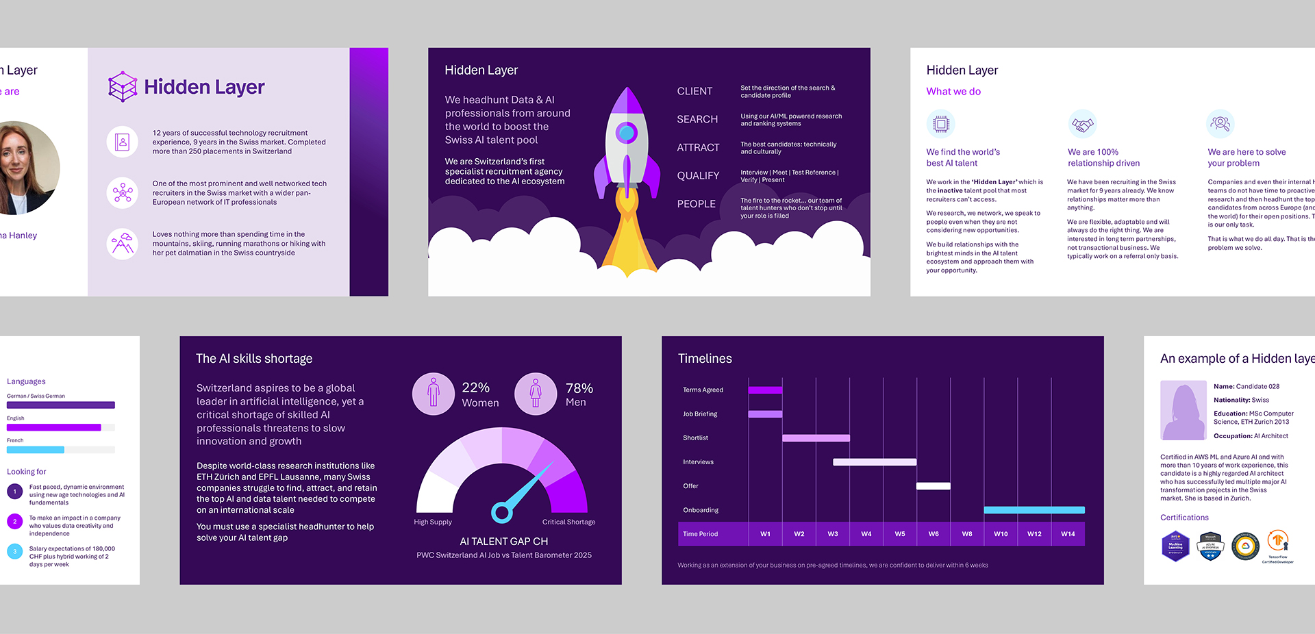 Sample slides from the Hidden Layer sales pitch deck